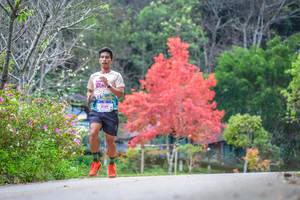 BIB: 129
                            <button type="button" onclick="openModal(19238947)" class="btn btn-primary btn-sm float-right btn-popup" data-toggle="modal" data-target=".modal-high-quality">
                        <i class="fas fa-shopping-cart"></i> Add to Cart
                    </button>
                                            <button type="button" onclick="isThisMe(19238947, true)" class="btn btn-success btn-sm float-right btn-popup btn-isme hidden" data-toggle="tooltip" data-placement="bottom" title="นี่คือรูปของคุณใช่ไหม คลิกที่นี่เพื่อเอาเข้าอัลบั้ม">
                        <i class="fas fa-plus"></i> Add to album
                    </button>
                    <button type="button" onclick="isThisMe(19238947, false)" class="btn btn-warning btn-sm float-right btn-popup btn-isnotme hidden">
                        <i class="fas fa-ban"></i> Remove from album
                    </button>